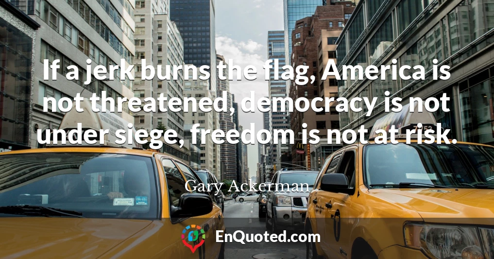 If a jerk burns the flag, America is not threatened, democracy is not under siege, freedom is not at risk.