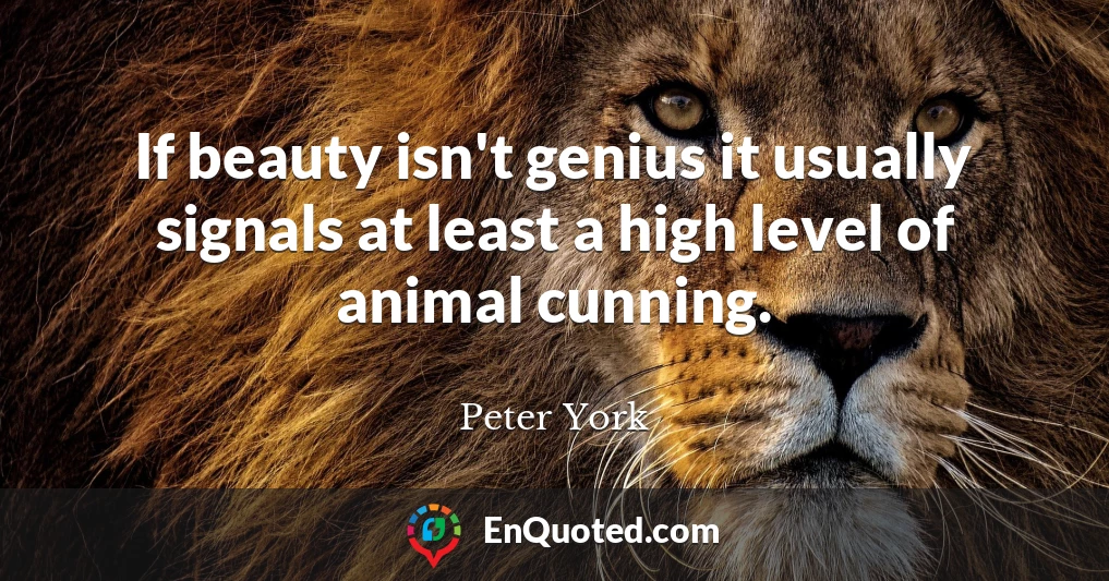 If beauty isn't genius it usually signals at least a high level of animal cunning.