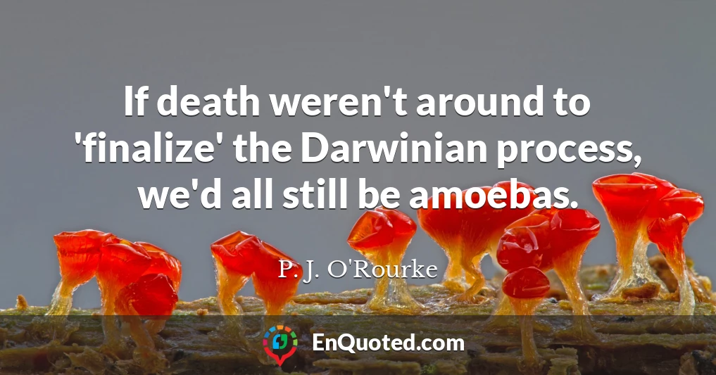 If death weren't around to 'finalize' the Darwinian process, we'd all still be amoebas.