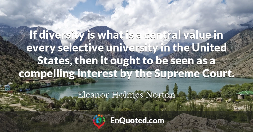 If diversity is what is a central value in every selective university in the United States, then it ought to be seen as a compelling interest by the Supreme Court.
