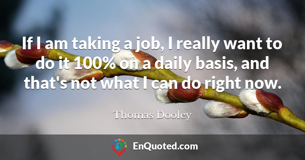 If I am taking a job, I really want to do it 100% on a daily basis, and that's not what I can do right now.