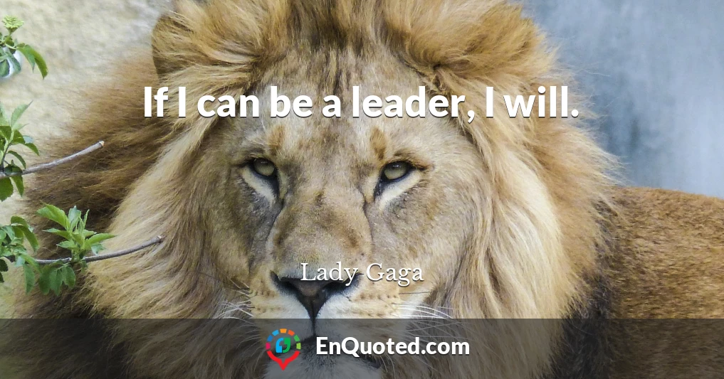 If I can be a leader, I will.