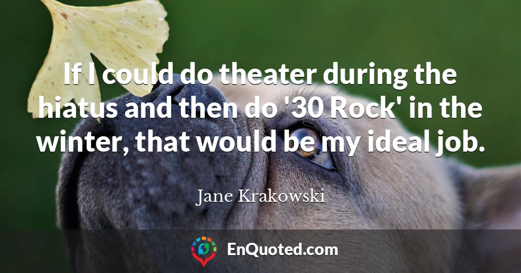 If I could do theater during the hiatus and then do '30 Rock' in the winter, that would be my ideal job.