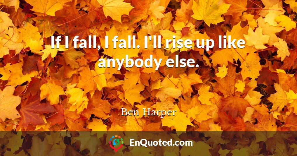 If I fall, I fall. I'll rise up like anybody else.