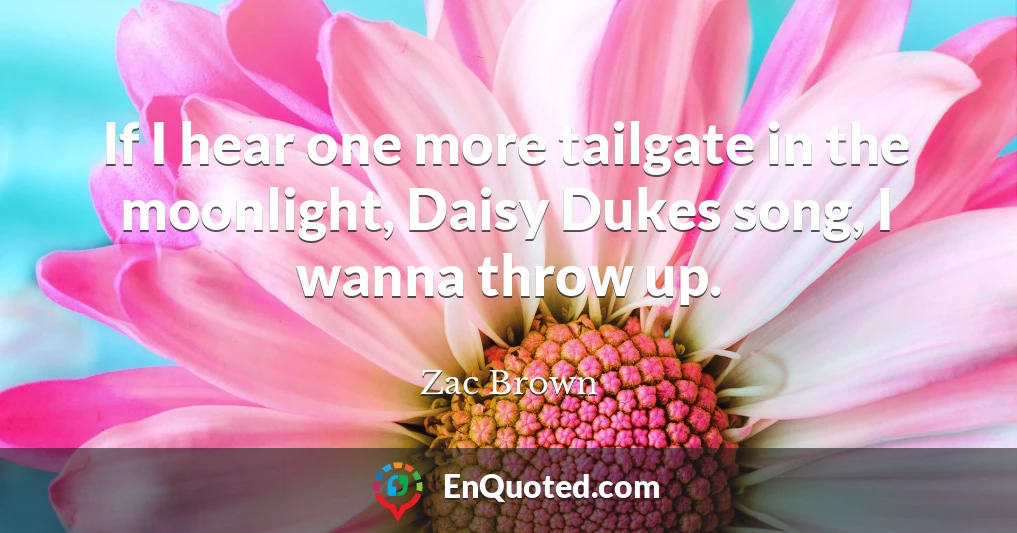 If I hear one more tailgate in the moonlight, Daisy Dukes song, I wanna throw up.