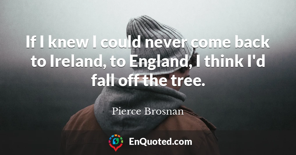 If I knew I could never come back to Ireland, to England, I think I'd fall off the tree.