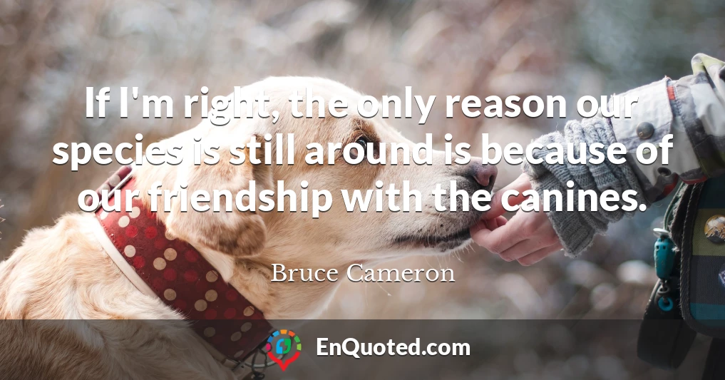 If I'm right, the only reason our species is still around is because of our friendship with the canines.