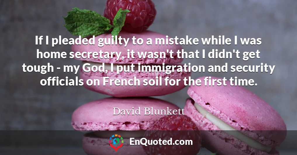 If I pleaded guilty to a mistake while I was home secretary, it wasn't that I didn't get tough - my God, I put immigration and security officials on French soil for the first time.
