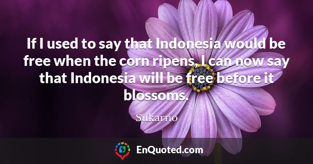 If I used to say that Indonesia would be free when the corn ripens, I can now say that Indonesia will be free before it blossoms.