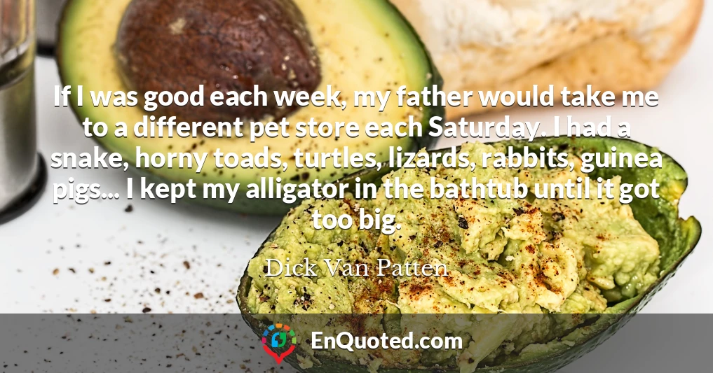 If I was good each week, my father would take me to a different pet store each Saturday. I had a snake, horny toads, turtles, lizards, rabbits, guinea pigs... I kept my alligator in the bathtub until it got too big.