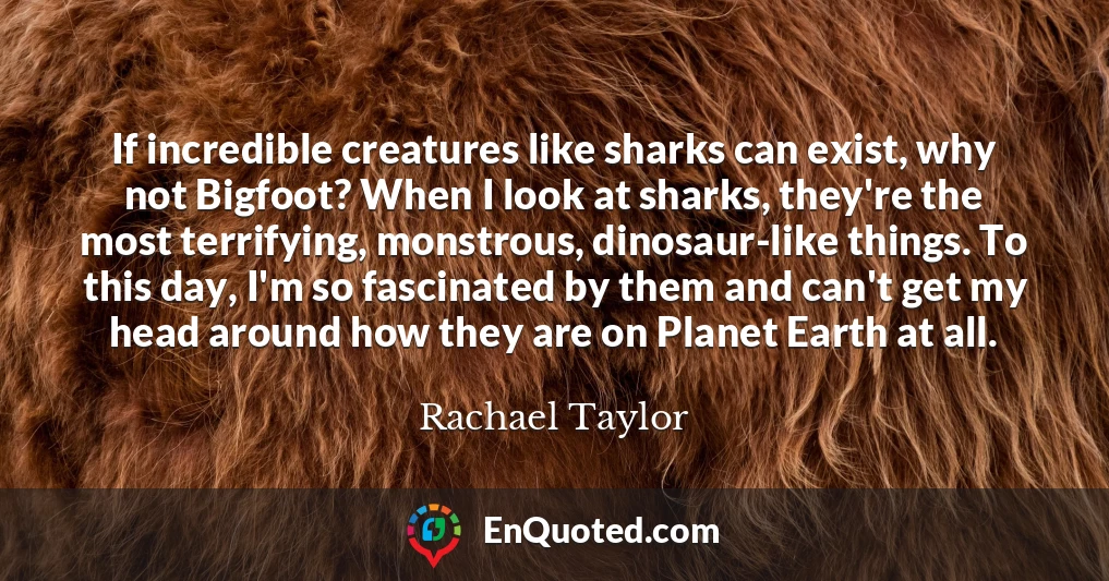 If incredible creatures like sharks can exist, why not Bigfoot? When I look at sharks, they're the most terrifying, monstrous, dinosaur-like things. To this day, I'm so fascinated by them and can't get my head around how they are on Planet Earth at all.