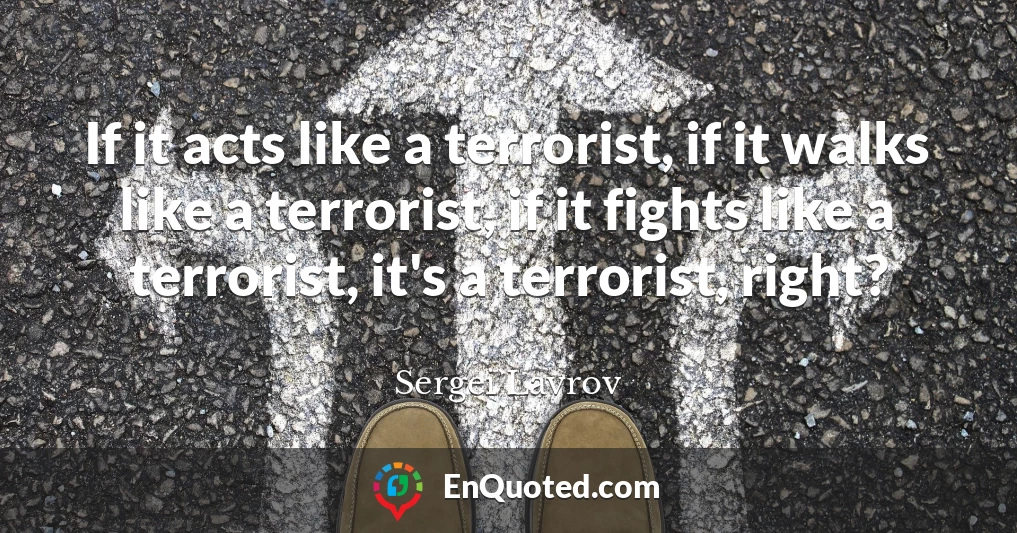 If it acts like a terrorist, if it walks like a terrorist, if it fights like a terrorist, it's a terrorist, right?