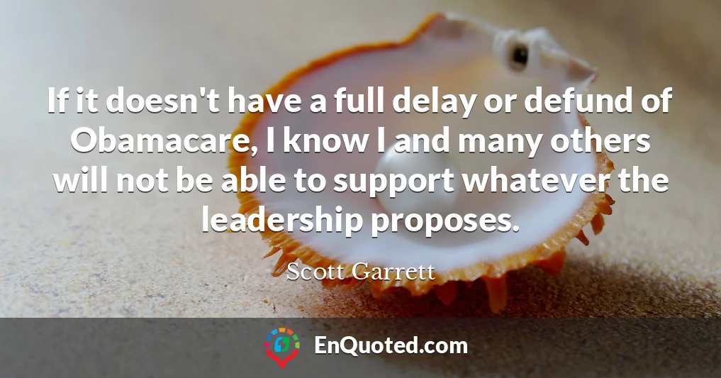 If it doesn't have a full delay or defund of Obamacare, I know I and many others will not be able to support whatever the leadership proposes.