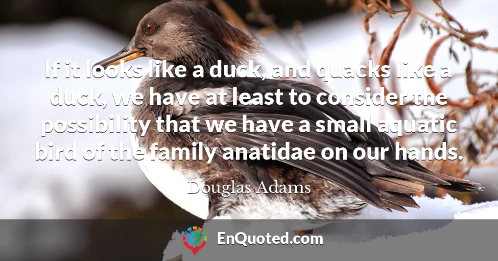 If it looks like a duck, and quacks like a duck, we have at least to consider the possibility that we have a small aquatic bird of the family anatidae on our hands.