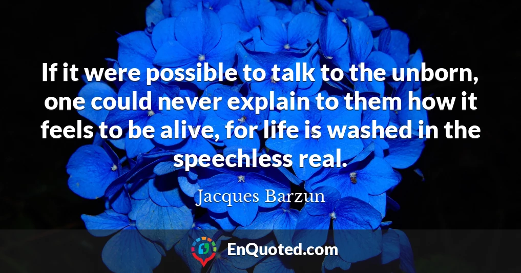 If it were possible to talk to the unborn, one could never explain to them how it feels to be alive, for life is washed in the speechless real.