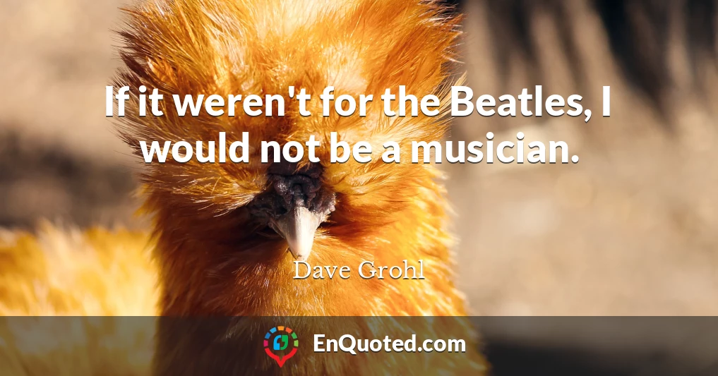 If it weren't for the Beatles, I would not be a musician.