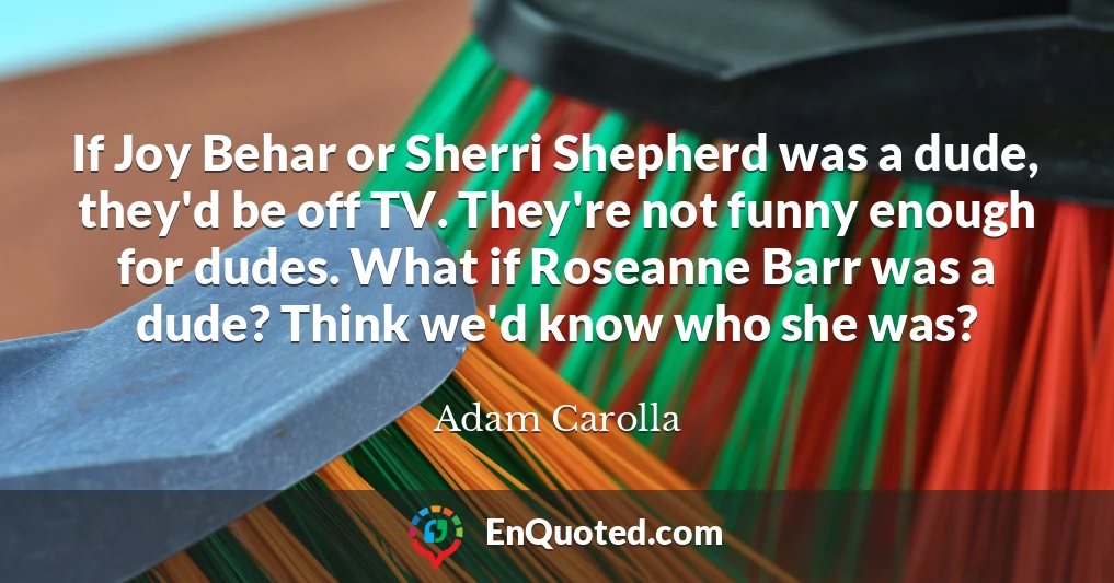 If Joy Behar or Sherri Shepherd was a dude, they'd be off TV. They're not funny enough for dudes. What if Roseanne Barr was a dude? Think we'd know who she was?