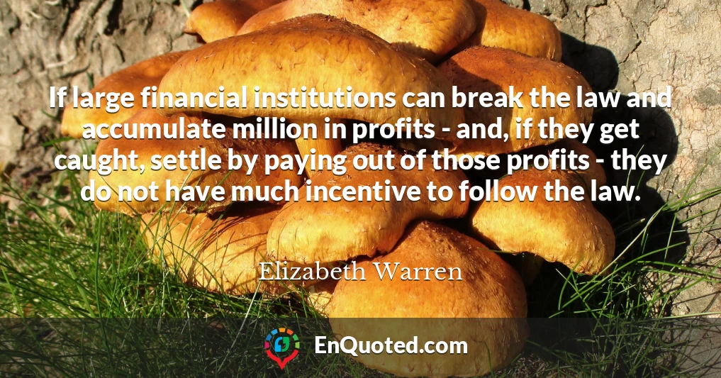 If large financial institutions can break the law and accumulate million in profits - and, if they get caught, settle by paying out of those profits - they do not have much incentive to follow the law.