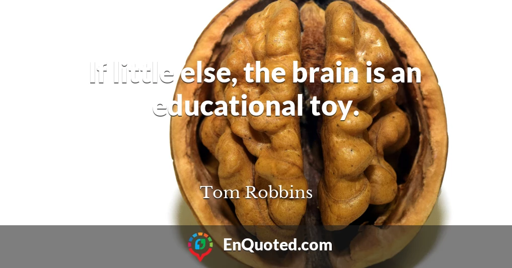 If little else, the brain is an educational toy.
