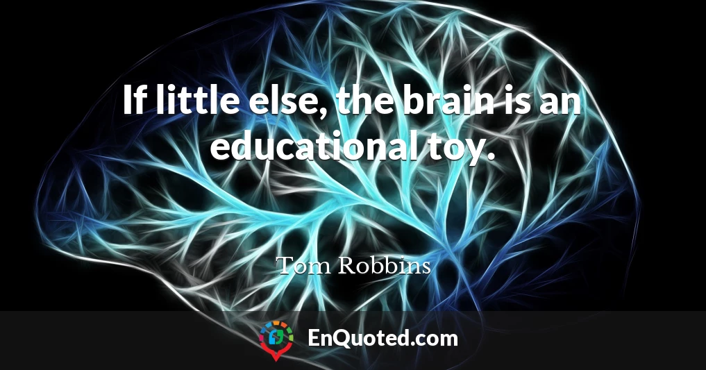 If little else, the brain is an educational toy.