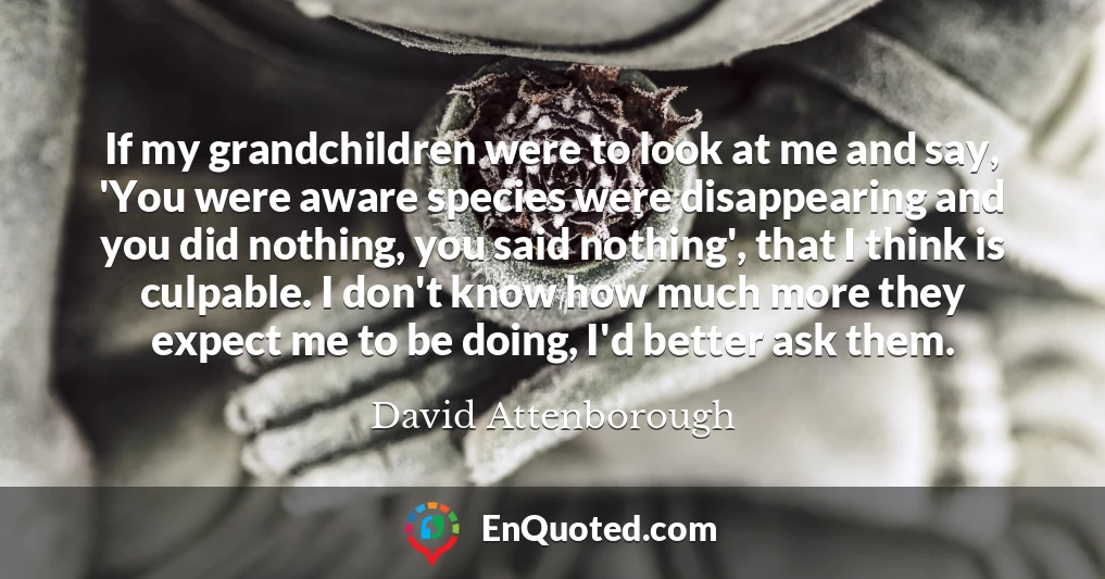 If my grandchildren were to look at me and say, 'You were aware species were disappearing and you did nothing, you said nothing', that I think is culpable. I don't know how much more they expect me to be doing, I'd better ask them.
