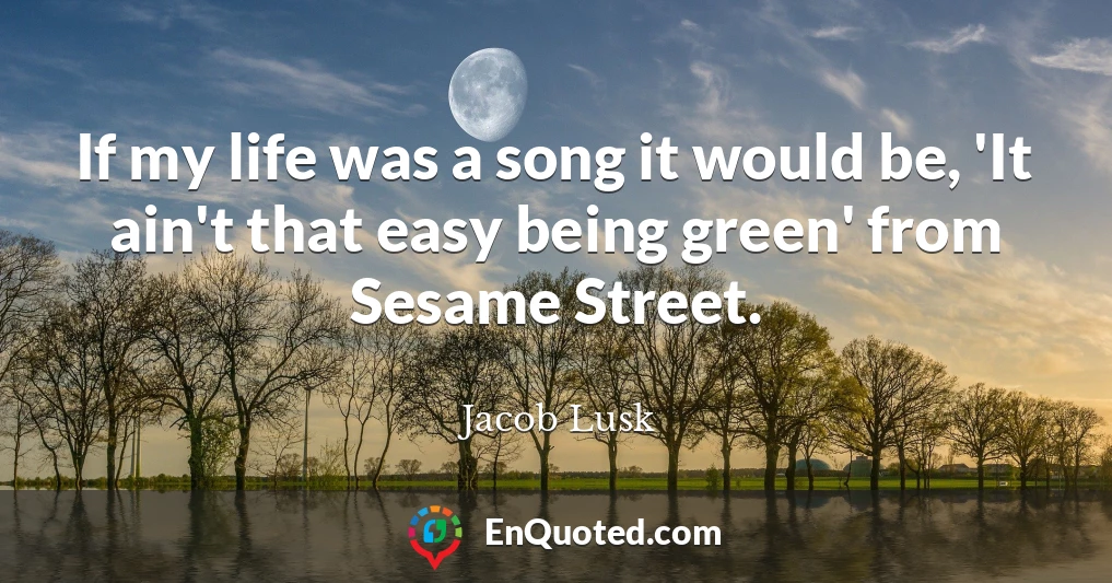 If my life was a song it would be, 'It ain't that easy being green' from Sesame Street.