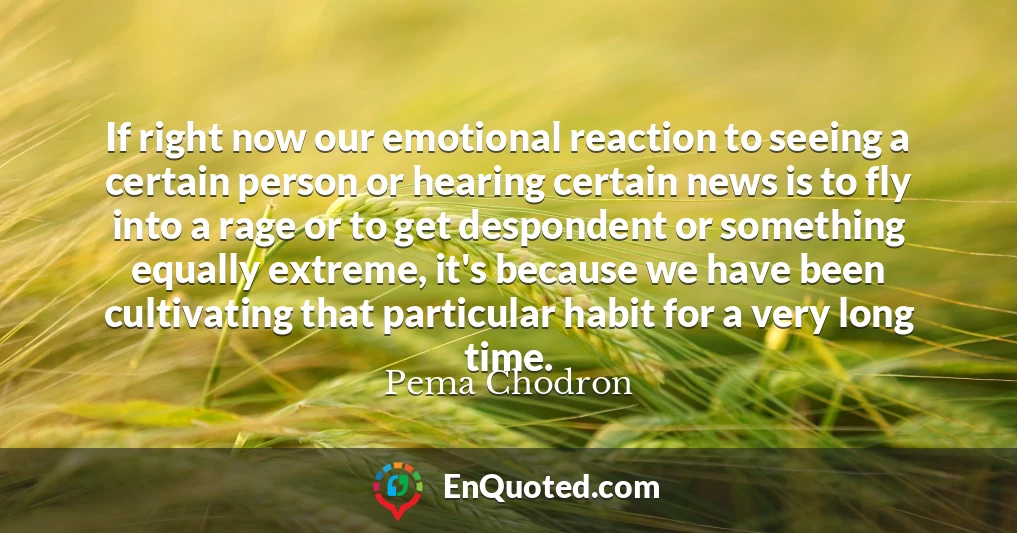 If right now our emotional reaction to seeing a certain person or hearing certain news is to fly into a rage or to get despondent or something equally extreme, it's because we have been cultivating that particular habit for a very long time.