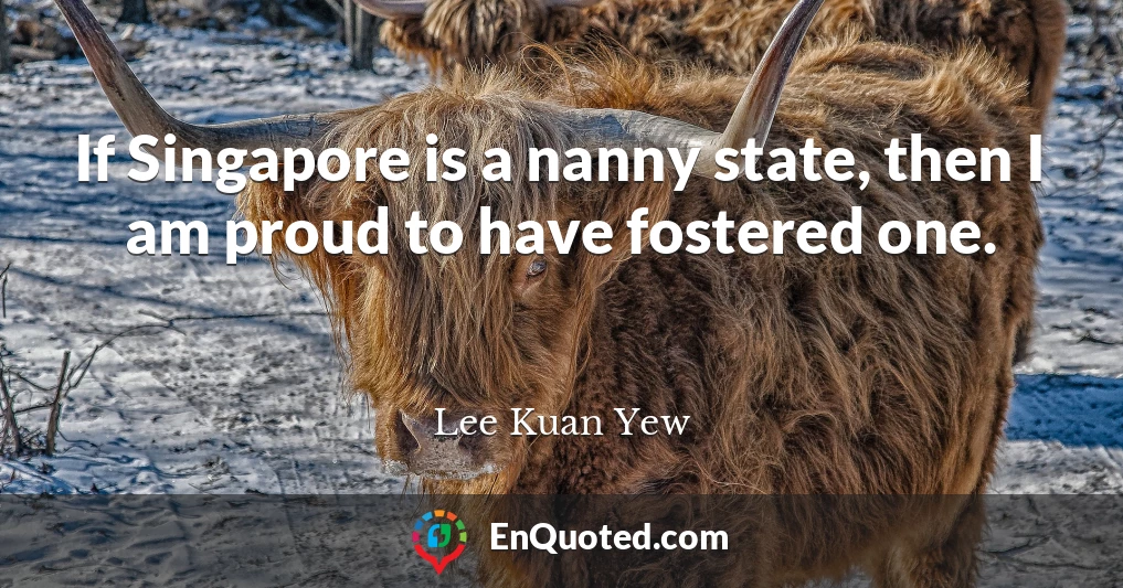 If Singapore is a nanny state, then I am proud to have fostered one.