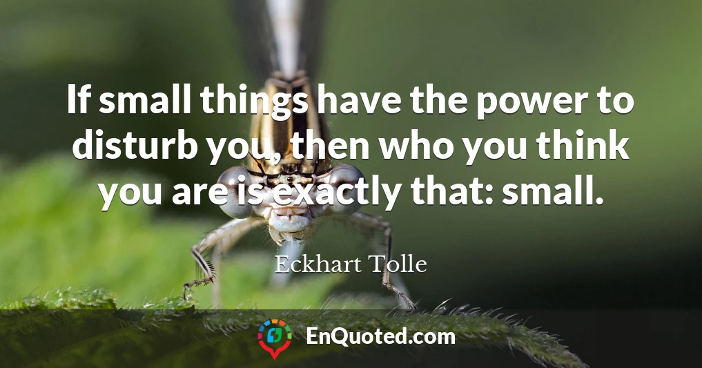 If small things have the power to disturb you, then who you think you are is exactly that: small.
