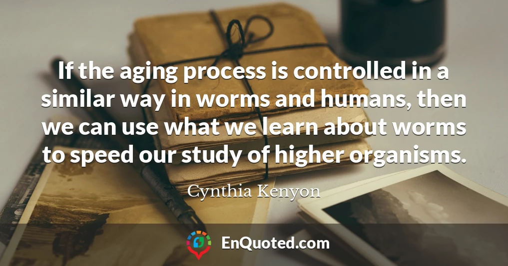 If the aging process is controlled in a similar way in worms and humans, then we can use what we learn about worms to speed our study of higher organisms.