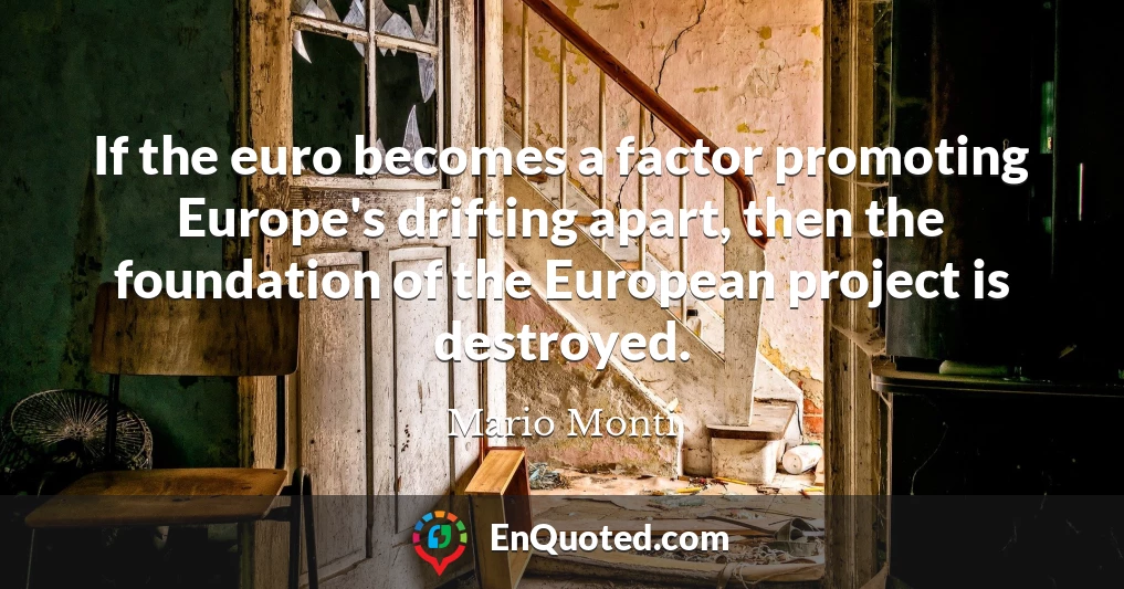 If the euro becomes a factor promoting Europe's drifting apart, then the foundation of the European project is destroyed.