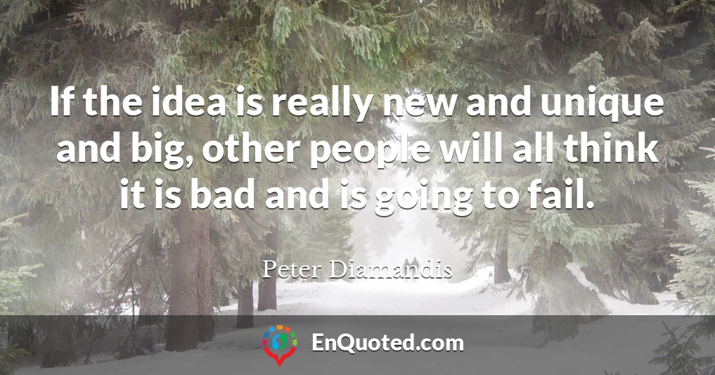 If the idea is really new and unique and big, other people will all think it is bad and is going to fail.