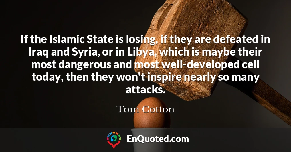 If the Islamic State is losing, if they are defeated in Iraq and Syria, or in Libya, which is maybe their most dangerous and most well-developed cell today, then they won't inspire nearly so many attacks.