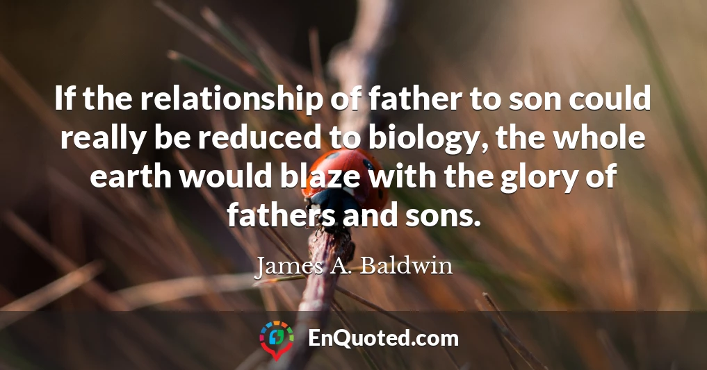If the relationship of father to son could really be reduced to biology, the whole earth would blaze with the glory of fathers and sons.