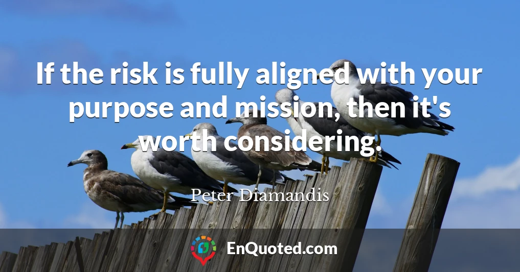 If the risk is fully aligned with your purpose and mission, then it's worth considering.