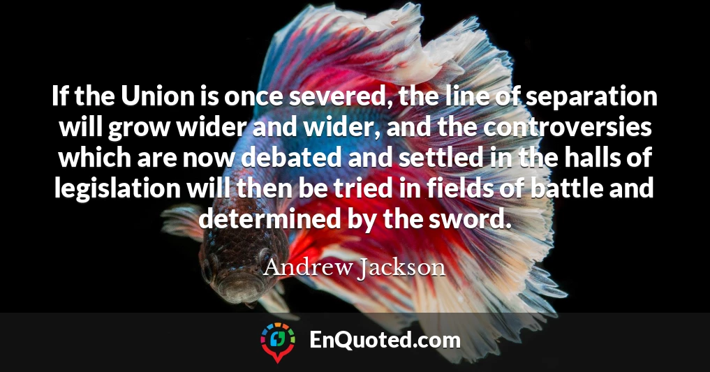 If the Union is once severed, the line of separation will grow wider and wider, and the controversies which are now debated and settled in the halls of legislation will then be tried in fields of battle and determined by the sword.