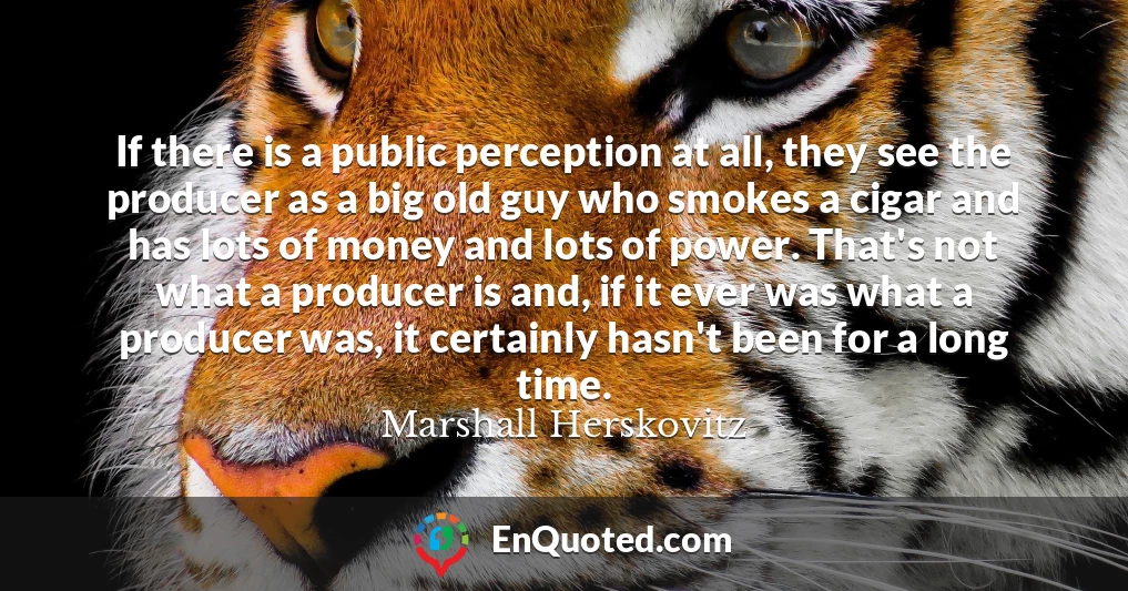 If there is a public perception at all, they see the producer as a big old guy who smokes a cigar and has lots of money and lots of power. That's not what a producer is and, if it ever was what a producer was, it certainly hasn't been for a long time.