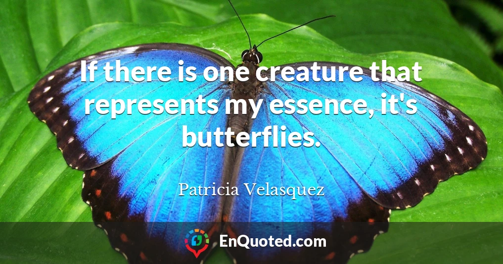 If there is one creature that represents my essence, it's butterflies.