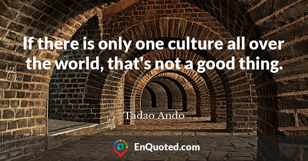If there is only one culture all over the world, that's not a good thing.