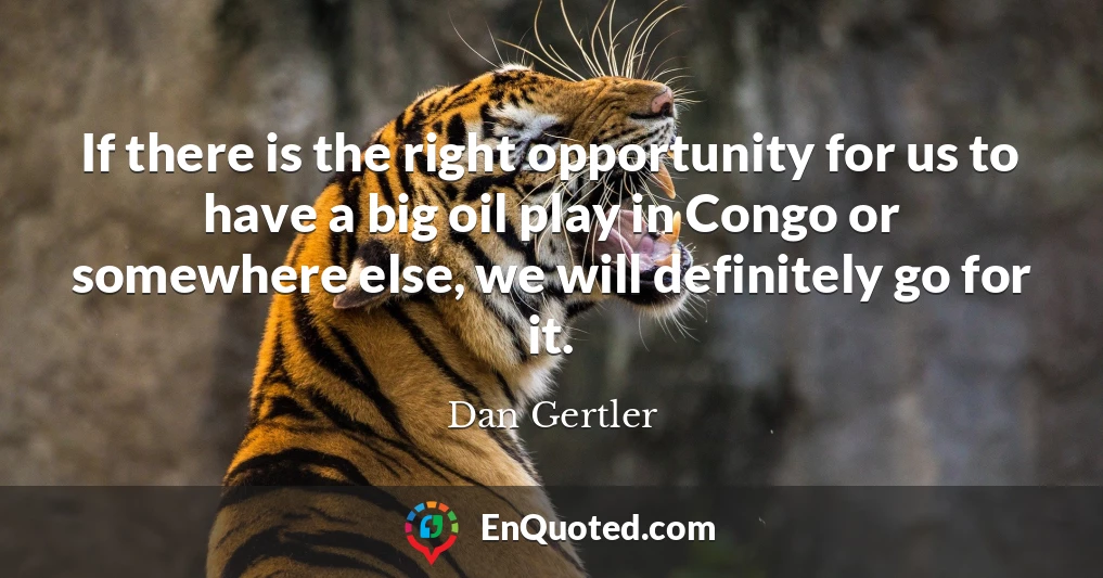 If there is the right opportunity for us to have a big oil play in Congo or somewhere else, we will definitely go for it.
