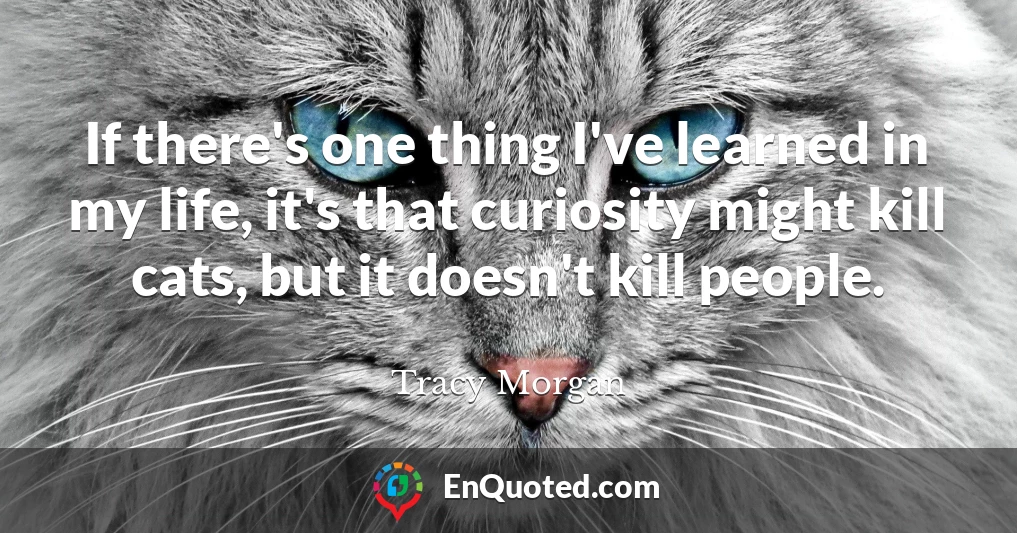 If there's one thing I've learned in my life, it's that curiosity might kill cats, but it doesn't kill people.