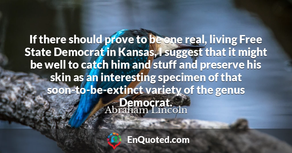 If there should prove to be one real, living Free State Democrat in Kansas, I suggest that it might be well to catch him and stuff and preserve his skin as an interesting specimen of that soon-to-be-extinct variety of the genus Democrat.