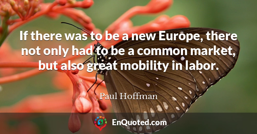 If there was to be a new Europe, there not only had to be a common market, but also great mobility in labor.