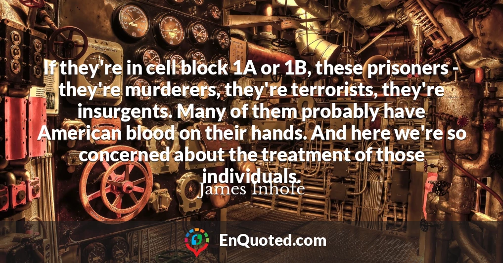 If they're in cell block 1A or 1B, these prisoners - they're murderers, they're terrorists, they're insurgents. Many of them probably have American blood on their hands. And here we're so concerned about the treatment of those individuals.