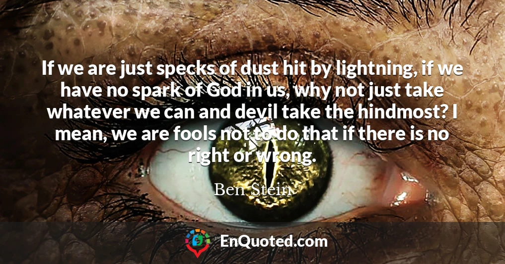 If we are just specks of dust hit by lightning, if we have no spark of God in us, why not just take whatever we can and devil take the hindmost? I mean, we are fools not to do that if there is no right or wrong.