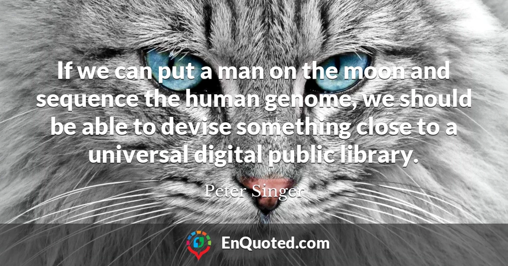 If we can put a man on the moon and sequence the human genome, we should be able to devise something close to a universal digital public library.