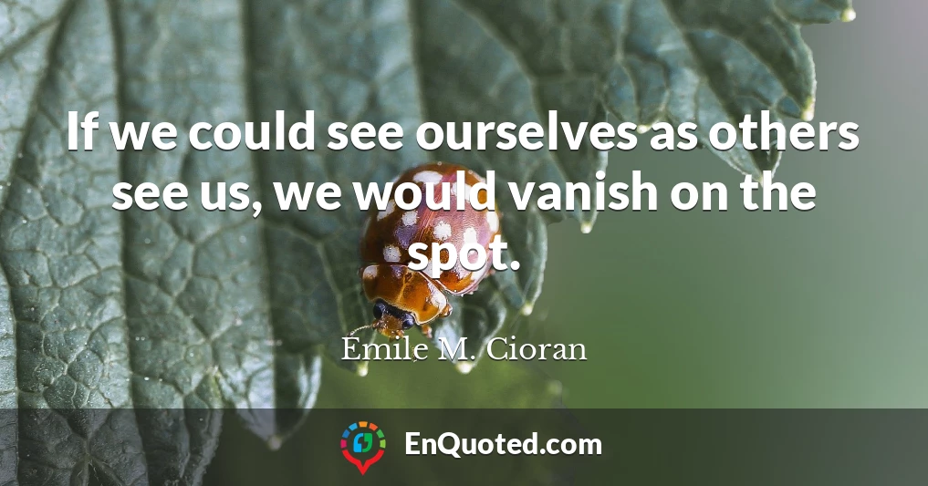 If we could see ourselves as others see us, we would vanish on the spot.