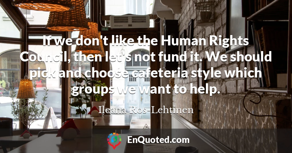 If we don't like the Human Rights Council, then let's not fund it. We should pick and choose cafeteria style which groups we want to help.