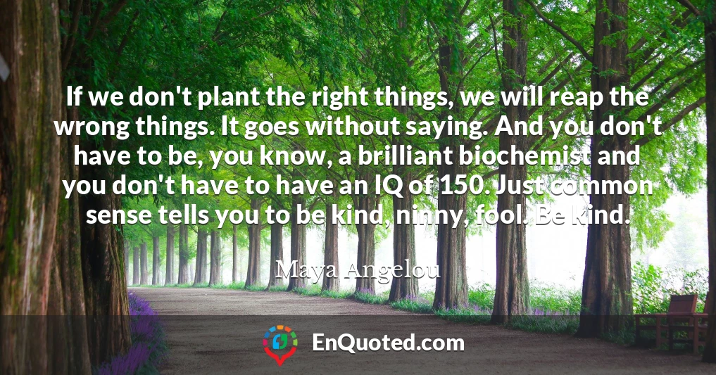 If we don't plant the right things, we will reap the wrong things. It goes without saying. And you don't have to be, you know, a brilliant biochemist and you don't have to have an IQ of 150. Just common sense tells you to be kind, ninny, fool. Be kind.