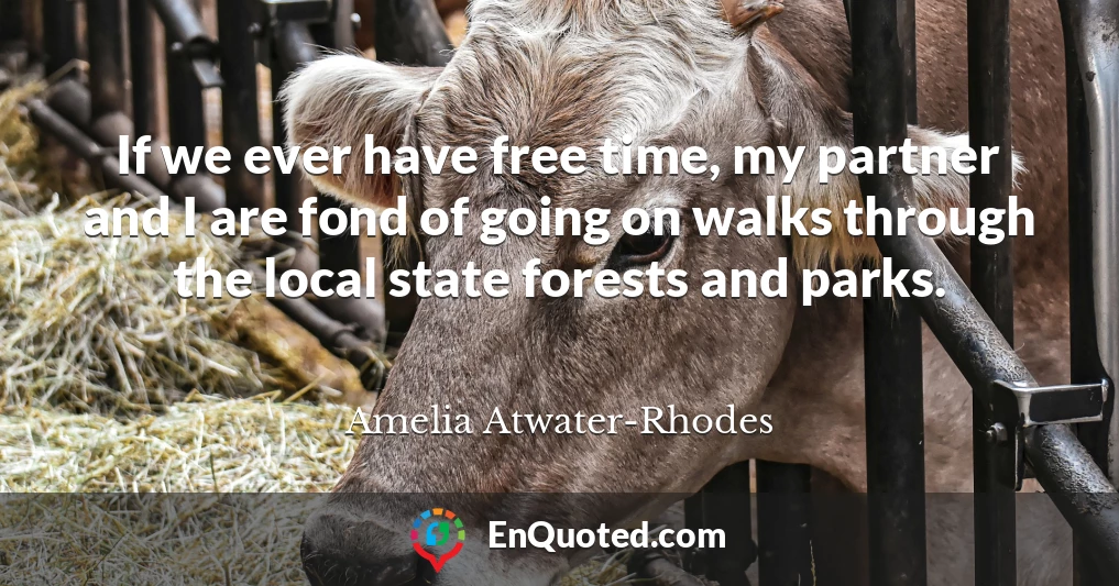 If we ever have free time, my partner and I are fond of going on walks through the local state forests and parks.